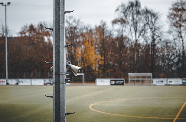 证明了自己 证明了自己